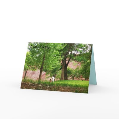 Dear, Daddy... Greeting Cards by sumiko