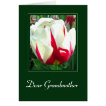 Dear Grandmother - Card