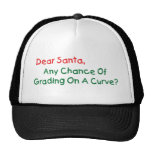 Dear Santa Any Chance Of Grading On A Curve? Hat