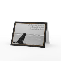 Death of a pet, dog death, sad, dog looking out