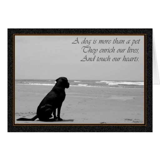 Death of a pet, dog death, sad, dog looking out greeting card | Zazzle