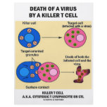 Death Of A Virus By A Killer T Cell (Immunology) flyers