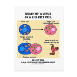 Death Of A Virus By A Killer T Cell (Immunology)