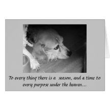 Death of Pet Sympathy Card