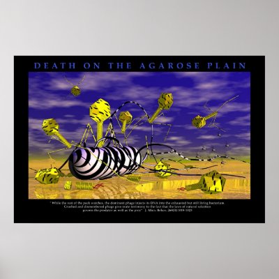 Death on the Agarose Plains by BioGeek