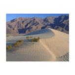 Death Valley California Postcard