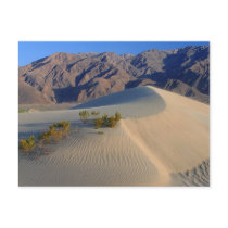 Death Valley California Postcard