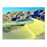 Death Valley Sand Dunes Post Card