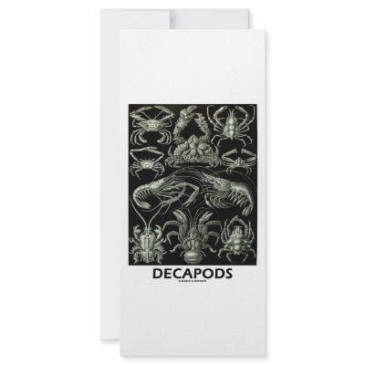 Decapods Rack Cards by wordsunwords