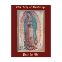 December 12   Our Lady of Guadalupe Postcard