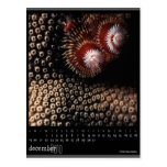 december 2010 calendar postcards