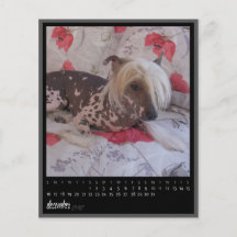 december 2012 calendar full colour flyer