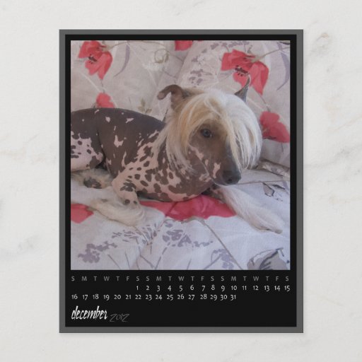 december 2012 calendar full colour flyer