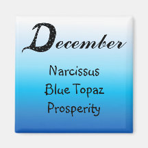 December Birthday Refrigerator Magnets