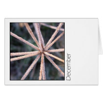 December Greeting Card