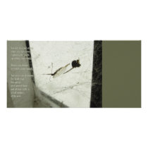 Deception Photo Card Template