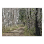 Decision trail greeting card