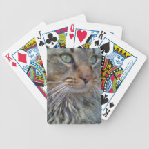 Deck of Playing Cards Green Eyed Cat