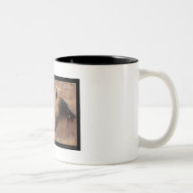 Declare Mug