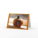 Decorated Baby Pumpkin cards