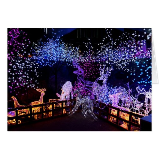 Décorations roses et pourpres de Noël dehors Carte De Vœux