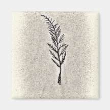 Decorative Algae Magnets