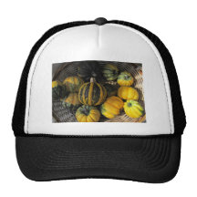 Decorative Colorful Pumpkins Hat