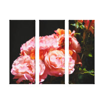 Decorative Fine Art prints Pink Roses Canvas Gallery Wrap Canvas