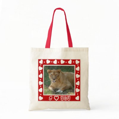 Decorative Lion Bags by BCRcats