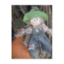 Decorative Scarecrow Postcard #1
