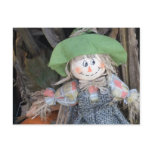 Decorative Scarecrow Postcard #2