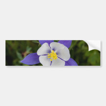 Deep Blue Bumper Sticker