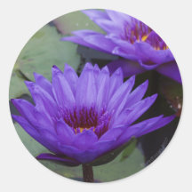 Deep Blue Water Lily Sticker