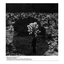 Deep Canyon Desert Research Station by Ansel Adams posters