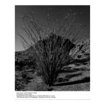 Deep Canyon Desert Research Station by Ansel Adams posters