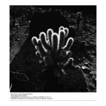 Deep Canyon Research Station by Ansel Adams posters