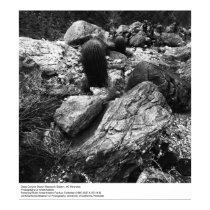 Deep Canyon Research Station, UCR by Ansel Adams posters