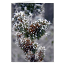 Deep Frozen Greeting Card
