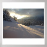 Deep in Winter posters
