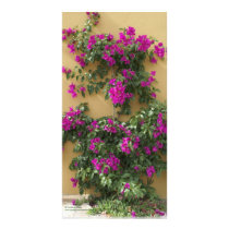 Deep Magenta Bougainvillea in Mexico Photo Greeting Card