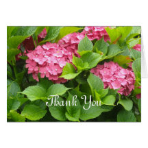 Deep Pink Hydrangeas Thank You Cards