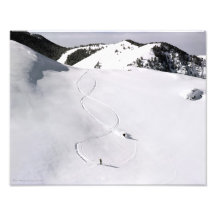 Deep Powder Photo