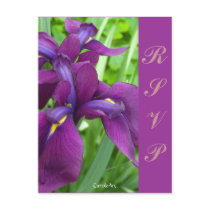 Deep Purple Irises "RSVP"
