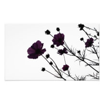 Deep Purple Photographies D’art