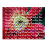 Deep Red Postcards