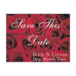 Deep Red Roses Save the Date Postcard (1)