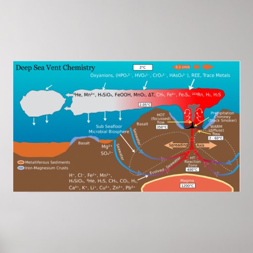 Deep Sea Volcanic Vent Chemistry Diagram Print