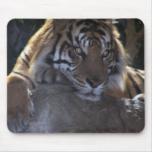 Deep Thought Mouse Pads