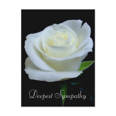 Deepest Sympathy Postcard by floraluniverses