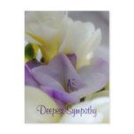 Deepest Sympathy Postcard